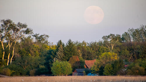 Faint moonrise